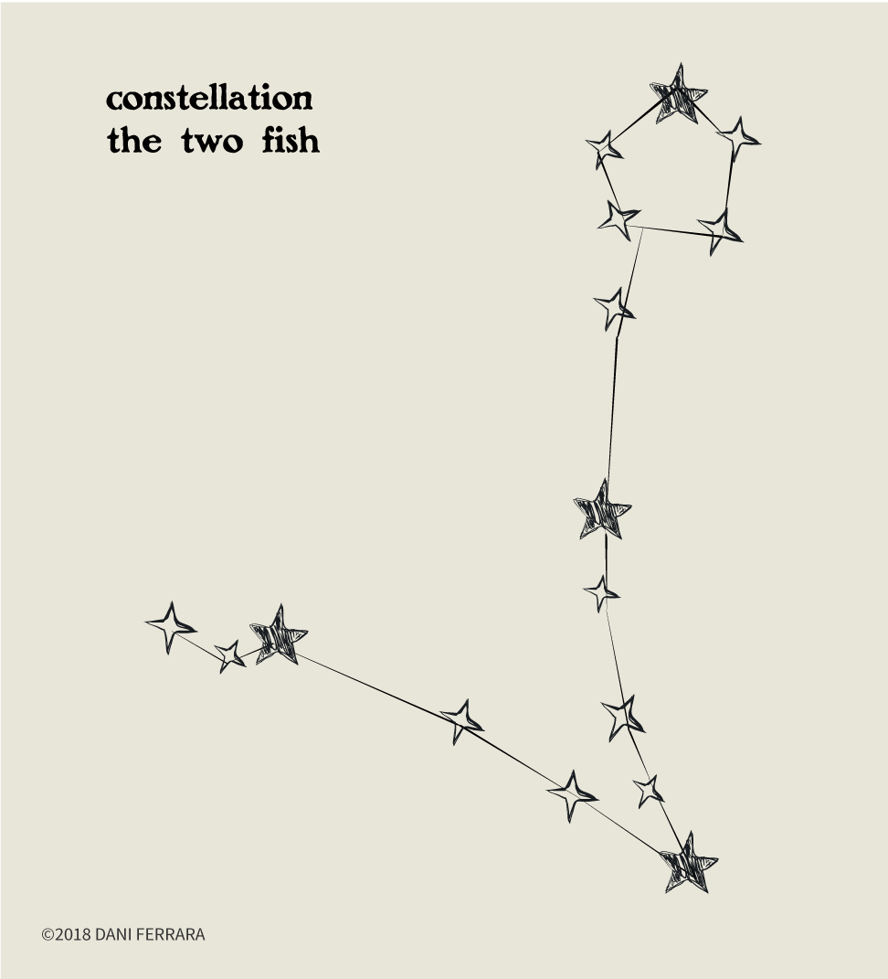 constellation, two fish, pisces, stars, fate